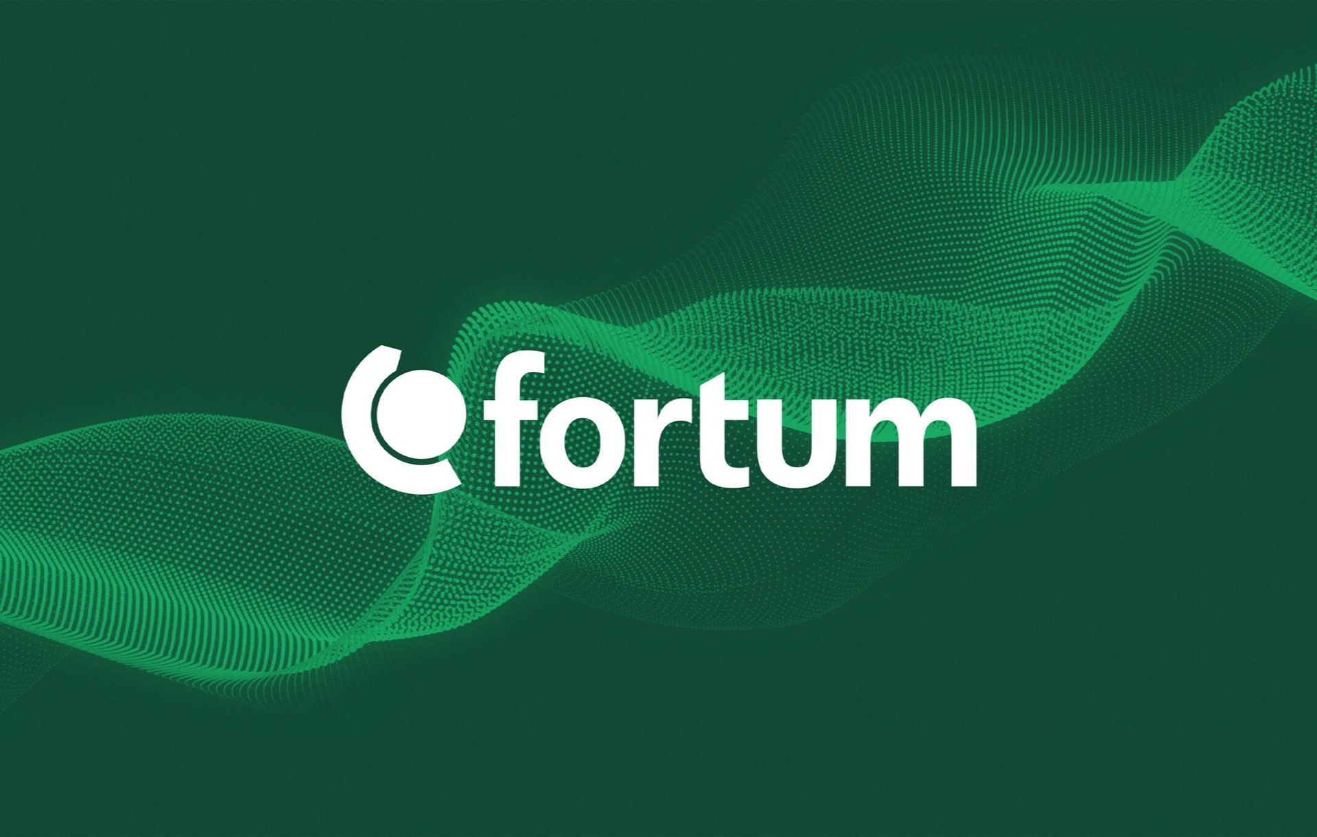 Fortum Nordic Energy – kuva 11