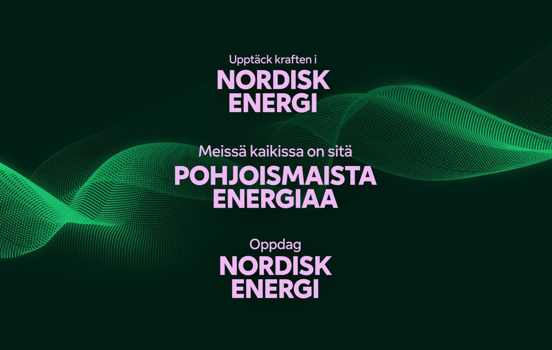 Fortum Nordic Energy – kuva 9