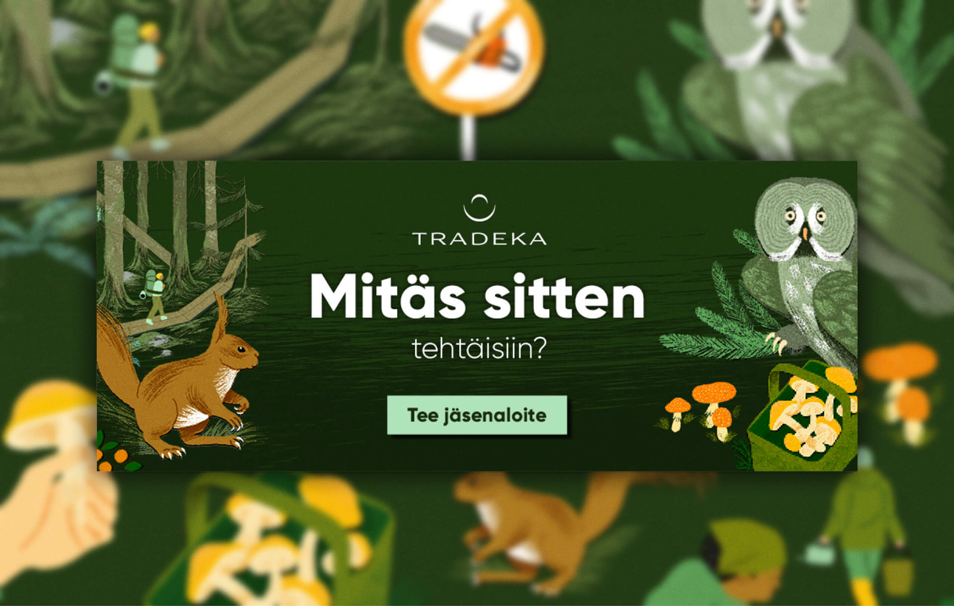 Osuuskunta Tradeka – kuva 1