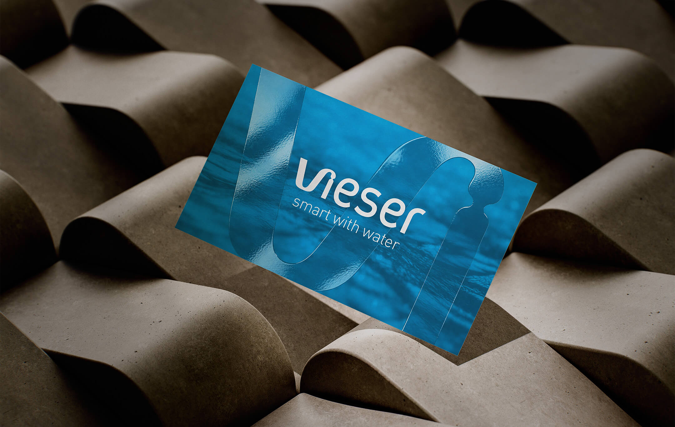 Vieser – kuva 1