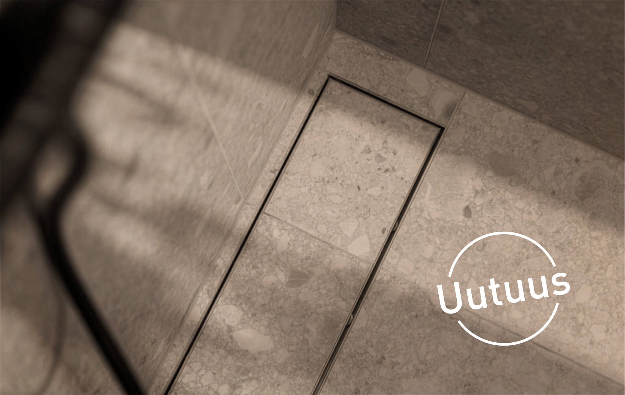Vieser – kuva 11