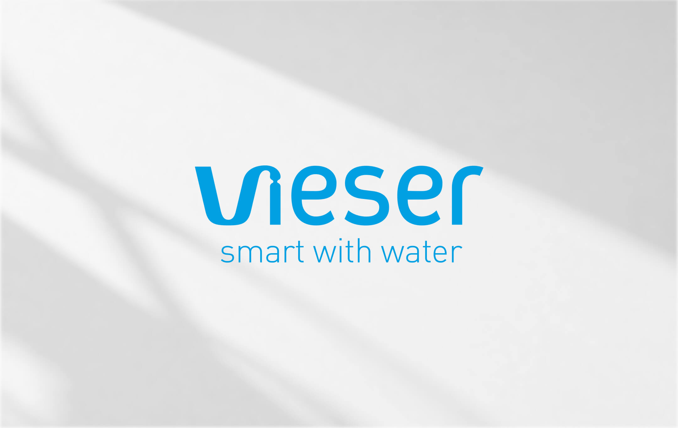 Vieser – kuva 12