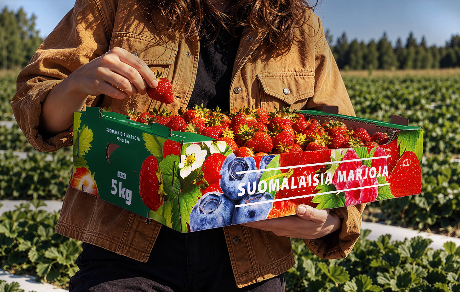 Stora Enso Packaging – Packaging design